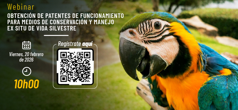 Más información aquí